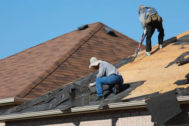  Coalfield, TN Roofing repair and installation Pros