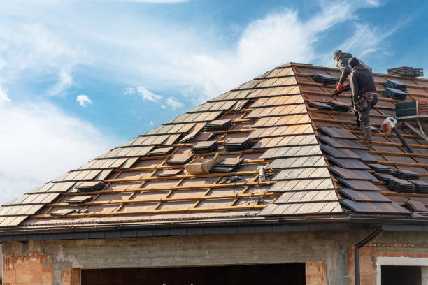 Best Tile Roofing Installation  in Coalfield, TN