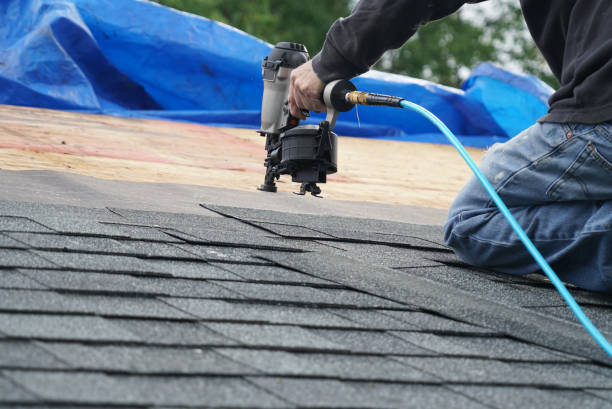 Best Gutter Installation and Repair  in Coalfield, TN